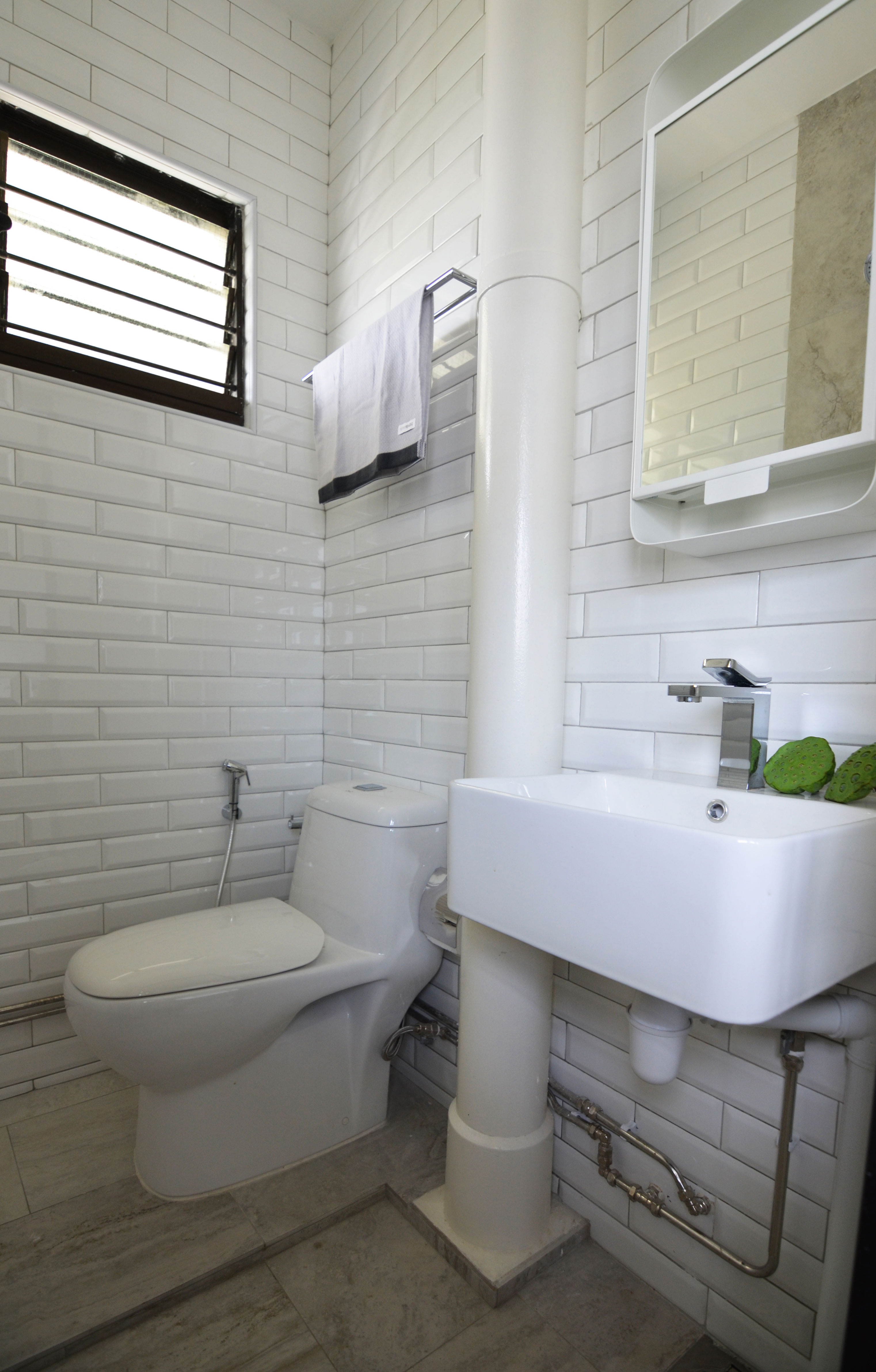 Common-toilet-2